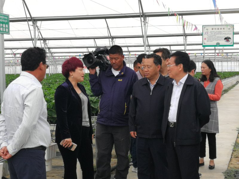 中国·js33333金沙线路检测(股份)有限公司-官方网站