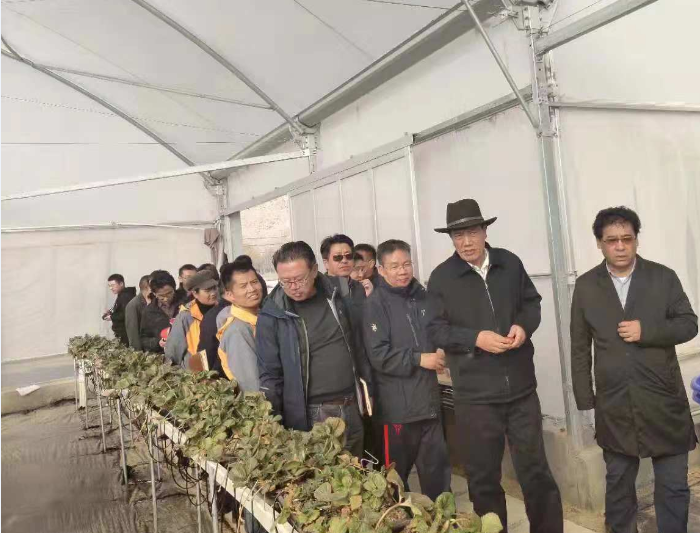 中国·js33333金沙线路检测(股份)有限公司-官方网站