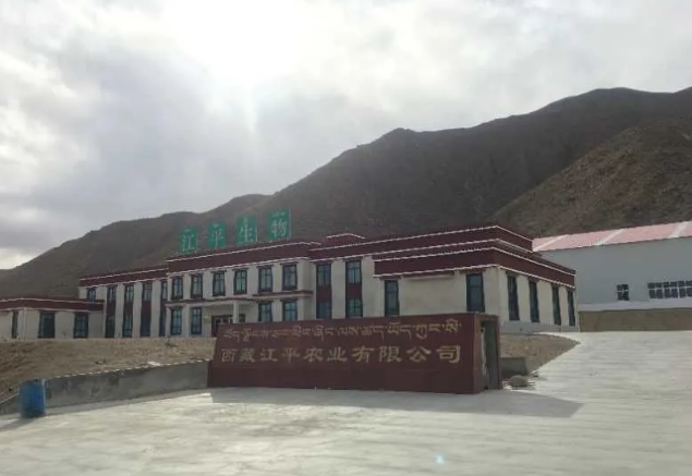 中国·js33333金沙线路检测(股份)有限公司-官方网站