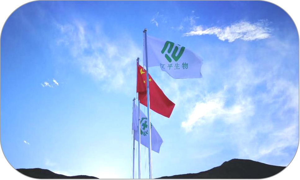 中国·js33333金沙线路检测(股份)有限公司-官方网站