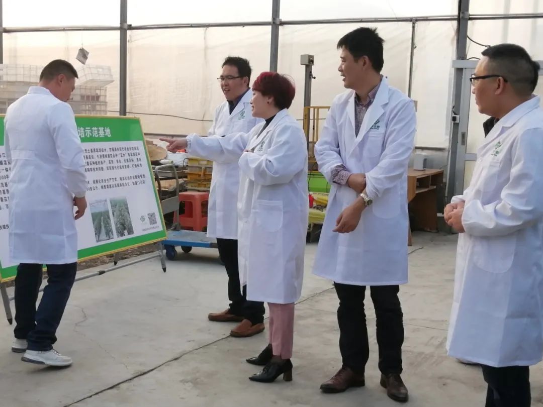 中国·js33333金沙线路检测(股份)有限公司-官方网站