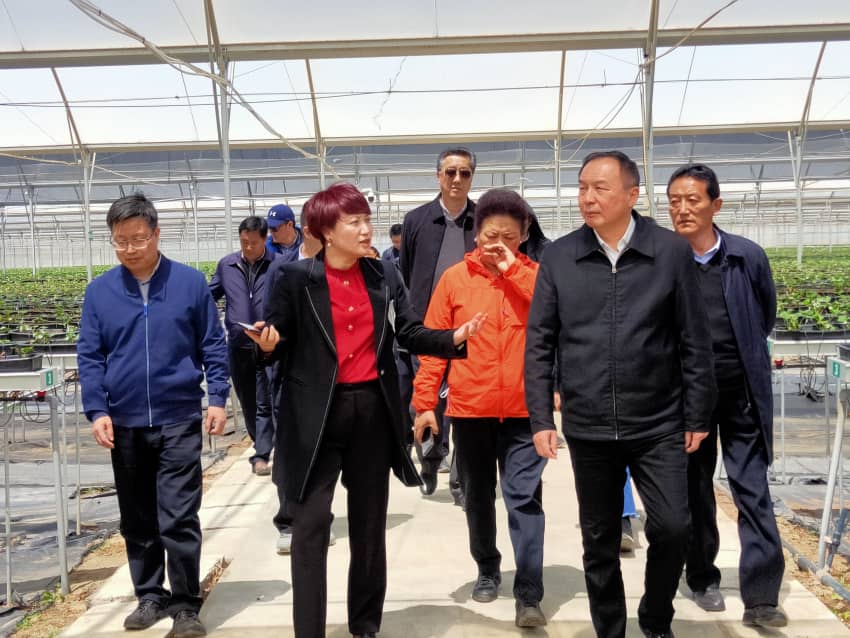 中国·js33333金沙线路检测(股份)有限公司-官方网站