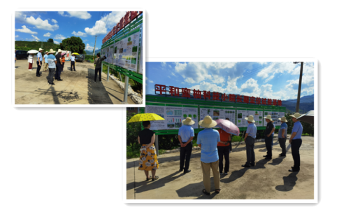 中国·js33333金沙线路检测(股份)有限公司-官方网站