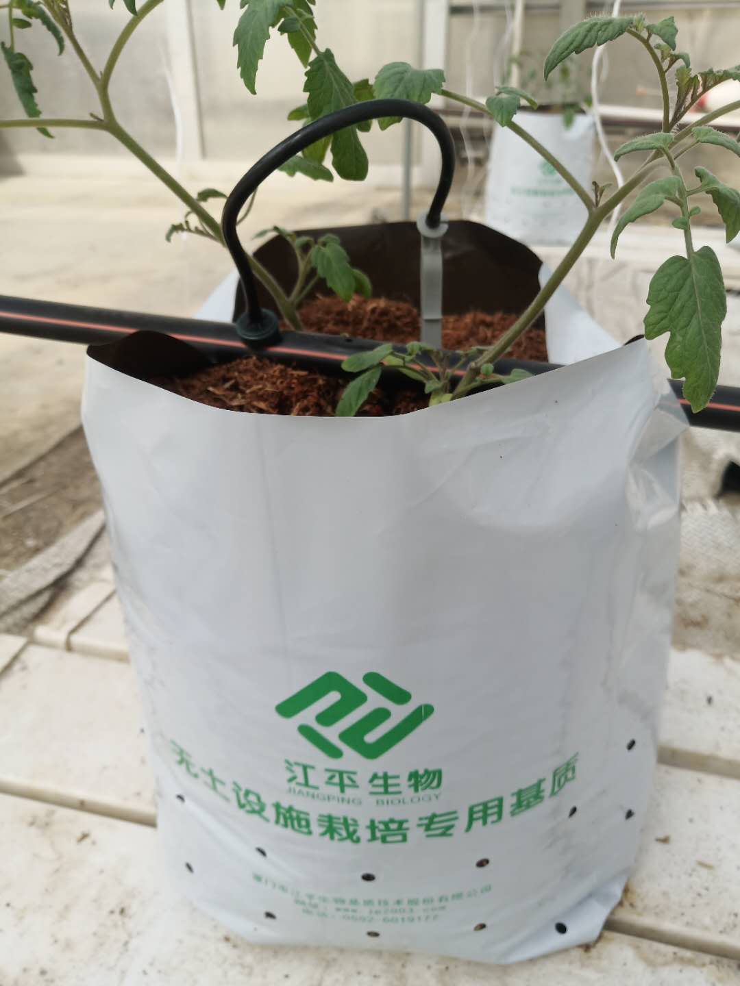 中国·js33333金沙线路检测(股份)有限公司-官方网站