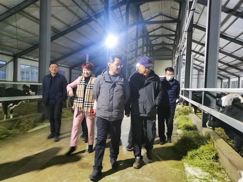中国·js33333金沙线路检测(股份)有限公司-官方网站