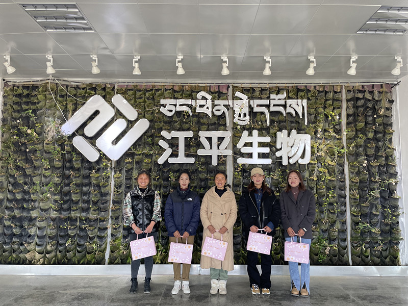 中国·js33333金沙线路检测(股份)有限公司-官方网站