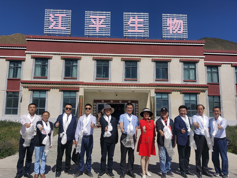 中国·js33333金沙线路检测(股份)有限公司-官方网站