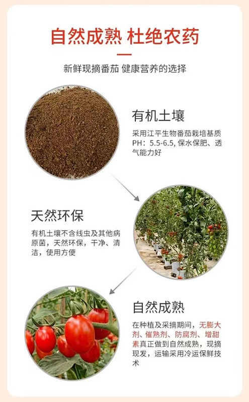 中国·js33333金沙线路检测(股份)有限公司-官方网站