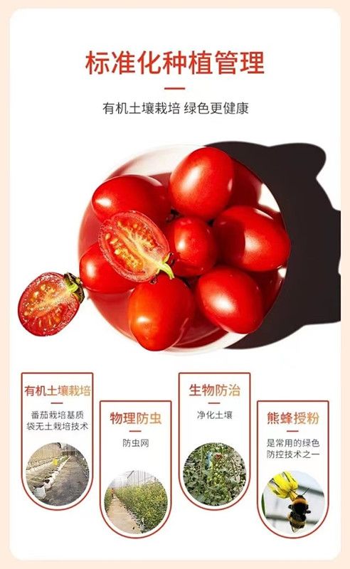 中国·js33333金沙线路检测(股份)有限公司-官方网站