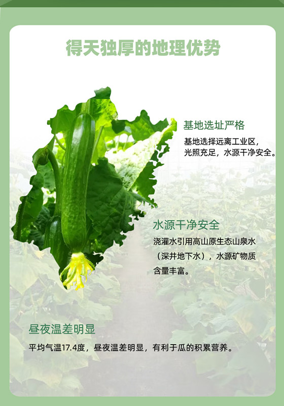 中国·js33333金沙线路检测(股份)有限公司-官方网站