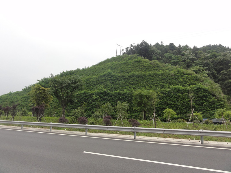 中国·js33333金沙线路检测(股份)有限公司-官方网站