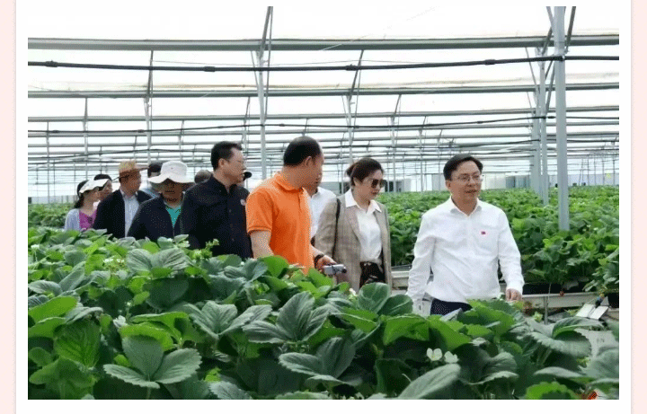 中国·js33333金沙线路检测(股份)有限公司-官方网站